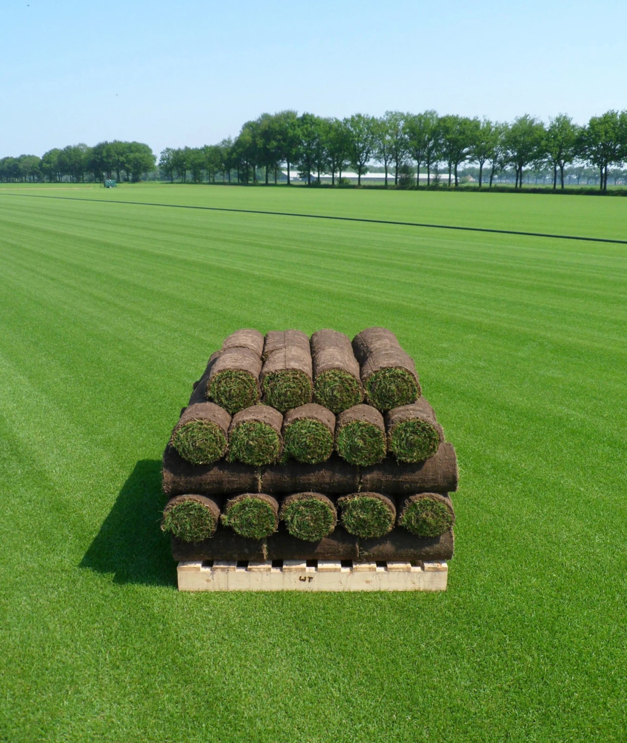 Een pallet verse graszoden op de kwekerij